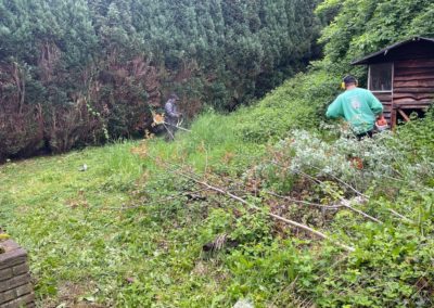 Nettoyage d'un jardin oublié pendant près de dix ans. 
Dégagement en vue de la création d'un nou...