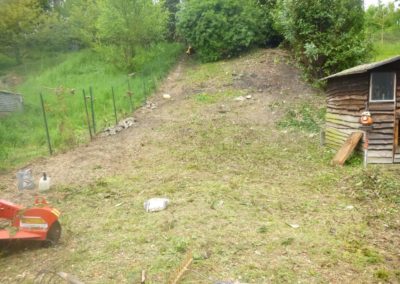Nettoyage d'un jardin oublié pendant près de dix ans. 
Dégagement en vue de la création d'un nou...