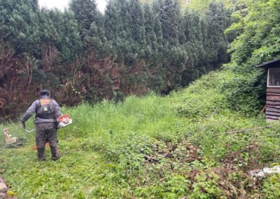 Nettoyage d'un jardin oublié pendant près de dix ans. 
Dégagement en vue de la création d'un nou...