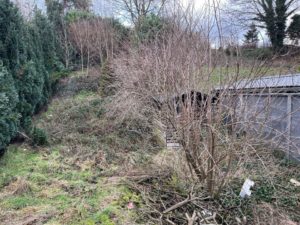 Nettoyage d'un jardin oublié pendant près de dix ans. 
Dégagement en vue de la création d'un nou...