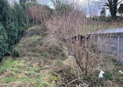 Nettoyage d'un jardin oublié pendant près de dix ans. 
Dégagement en vue de la création d'un nou...