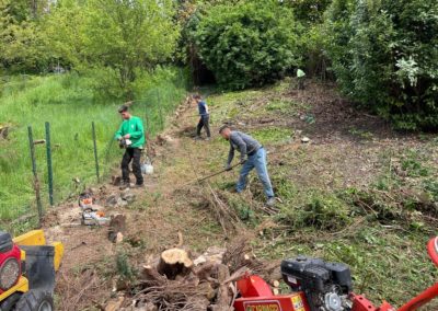 Nettoyage d'un jardin oublié pendant près de dix ans. 
Dégagement en vue de la création d'un nou...