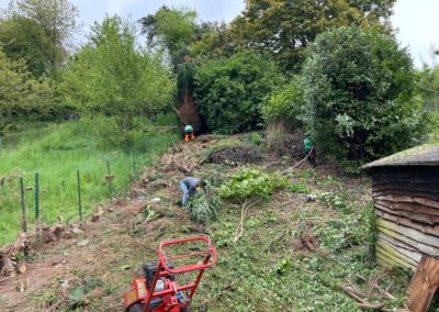 Nettoyage d'un jardin oublié pendant près de dix ans. 
Dégagement en vue de la création d'un nou...
