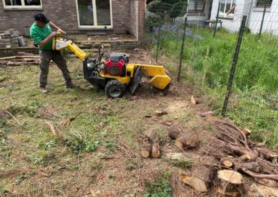 Nettoyage d'un jardin oublié pendant près de dix ans. 
Dégagement en vue de la création d'un nou...