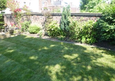 Rénovation complète d'un petit jardin de ville.

Deux petites journées ont suffit et tout est com...