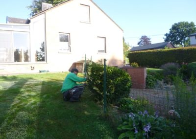 Remplacement de deux petites clôtures souple par du rigide avec portails pour plus de sécurité.

...