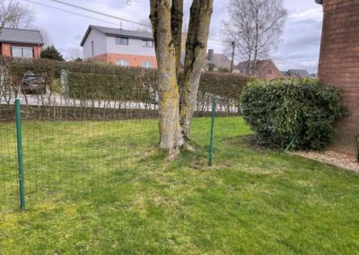 Remplacement de deux petites clôtures souple par du rigide avec portails pour plus de sécurité.

...
