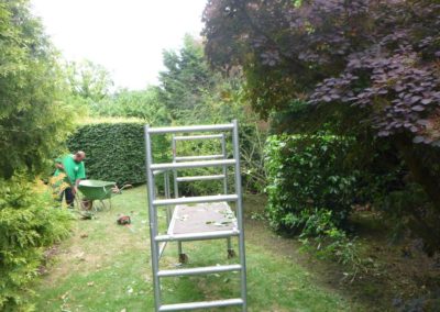 Travaux de tailles d'un jardin, remise en ordre en vus d'une prise en main par nos soins dans le cad...