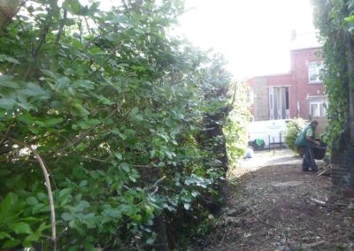 Super défrichage des abords d'une maison oubliée depuis des années, en vue d'un réaménagement....