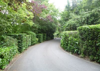 Travaux de tailles d'un jardin, remise en ordre en vus d'une prise en main par nos soins dans le cad...