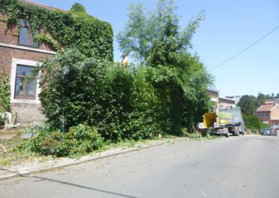 Super défrichage des abords d'une maison oubliée depuis des années, en vue d'un réaménagement....