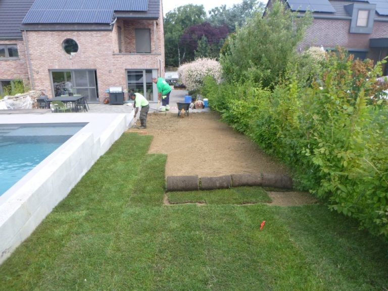 Après le réalisation d'une piscine enterrée, réalisation de la pelouse avec des rouleaux autour ...