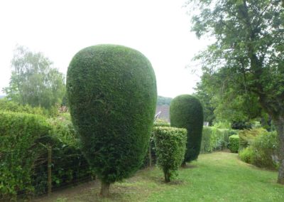 Travaux de tailles d'un jardin, remise en ordre en vus d'une prise en main par nos soins dans le cad...