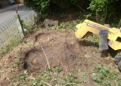 Défrichage d'un jardin oublié depuis plus de dix année.

C'est loin d'être parfaitement propre m...