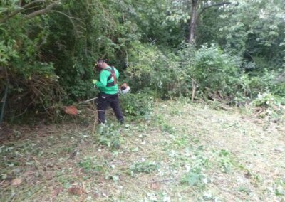 Défrichage d'un jardin oublié depuis plus de dix année.

C'est loin d'être parfaitement propre m...