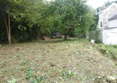 Défrichage d'un jardin oublié depuis plus de dix année.

C'est loin d'être parfaitement propre m...