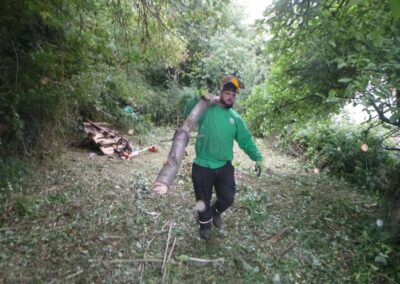 Défrichage d'un jardin oublié depuis plus de dix année.

C'est loin d'être parfaitement propre m...