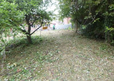 Défrichage d'un jardin oublié depuis plus de dix année.

C'est loin d'être parfaitement propre m...