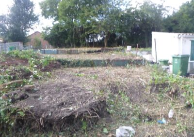 Défrichage d'un jardin oublié depuis plus de dix année.

C'est loin d'être parfaitement propre m...
