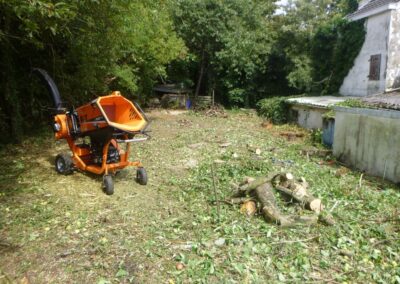 Défrichage d'un jardin oublié depuis plus de dix année.

C'est loin d'être parfaitement propre m...