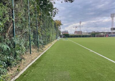 Taille de la végétation le long du terrain de sport....