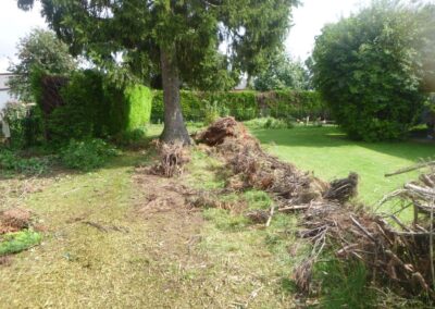 Remplacement d'une haie de ligustrum malade par un palissade composée de piquets de béton et de la...