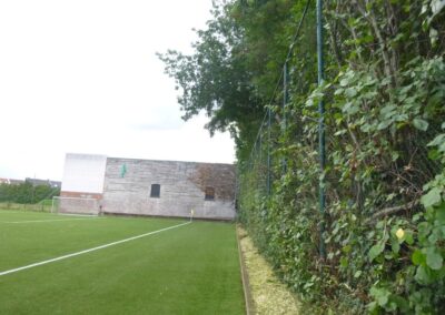 Taille de la végétation le long du terrain de sport....