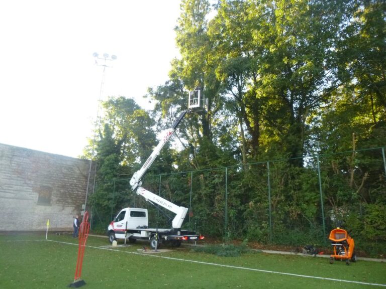 Dégagement de l'éclairage du terrain d'entrainement du RFC Seraing.

Merci à nos collaborateurs M...