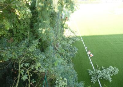 Dégagement de l'éclairage du terrain d'entrainement du RFC Seraing.

Merci à nos collaborateurs M...