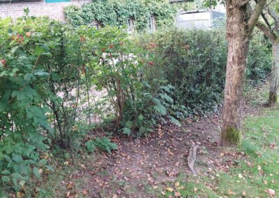 Sécurisation d'un jardin contre l'invasion des sangliers.

Pose d'une clôture rigide BETAFENCE NYL...