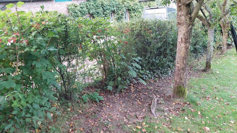 Sécurisation d'un jardin contre l'invasion des sangliers.

Pose d'une clôture rigide BETAFENCE NYL...