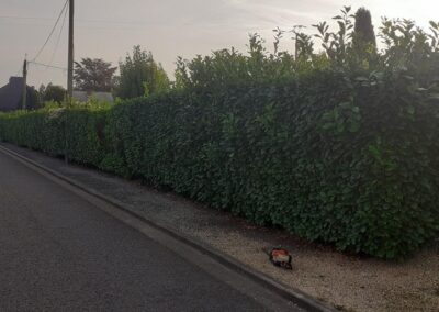 Les tailles de fin de saison continuent.
Taille d'une haie de prunus à Flémalle (Awirs).

Merci à...