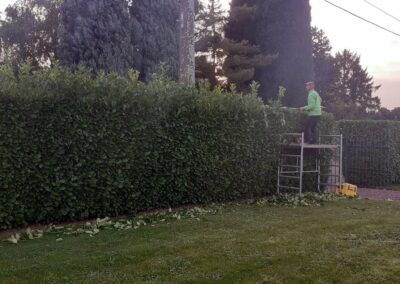 Les tailles de fin de saison continuent.
Taille d'une haie de prunus à Flémalle (Awirs).

Merci à...